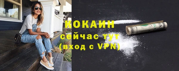 прущие грибы Дмитров