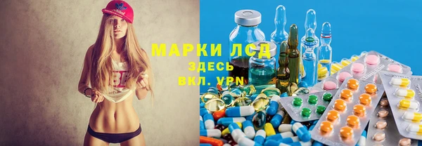 шишки Дмитровск