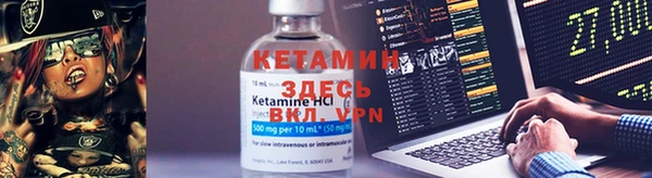 шишки Дмитровск