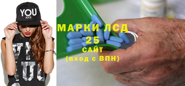 прущие грибы Дмитров