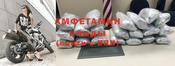 амф Дмитриев