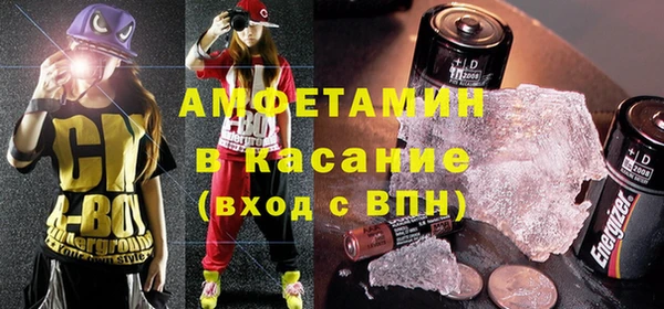 шишки Дмитровск