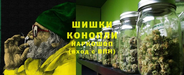 шишки Дмитровск