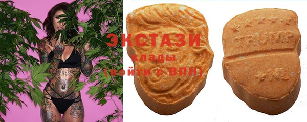 амф Дмитриев