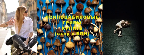 амф Дмитриев