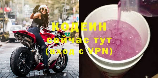 прущие грибы Дмитров