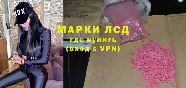 прущие грибы Дмитров