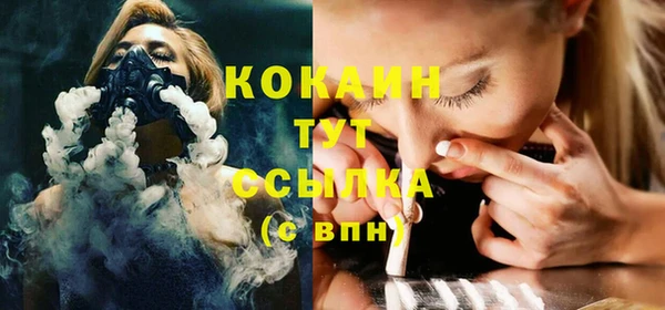 шишки Дмитровск