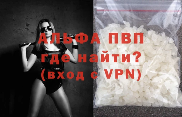 прущие грибы Дмитров