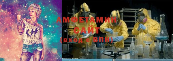 шишки Дмитровск