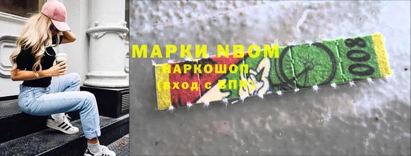 прущие грибы Дмитров