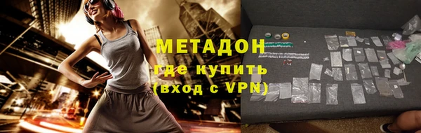 прущие грибы Дмитров