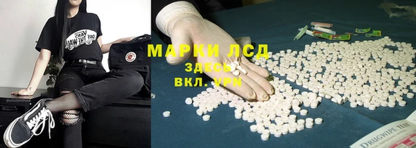 шишки Дмитровск